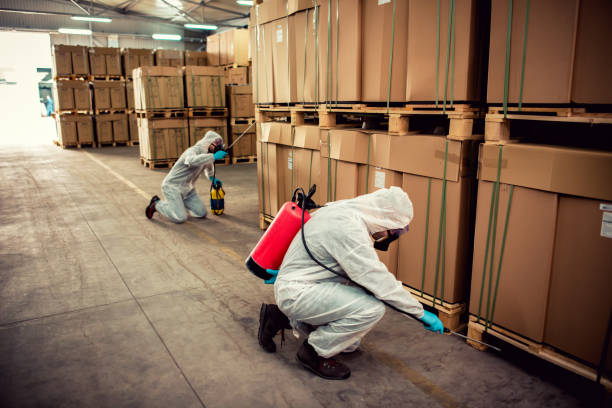 Best Emergency Pest Control  in Neah Bay, WA