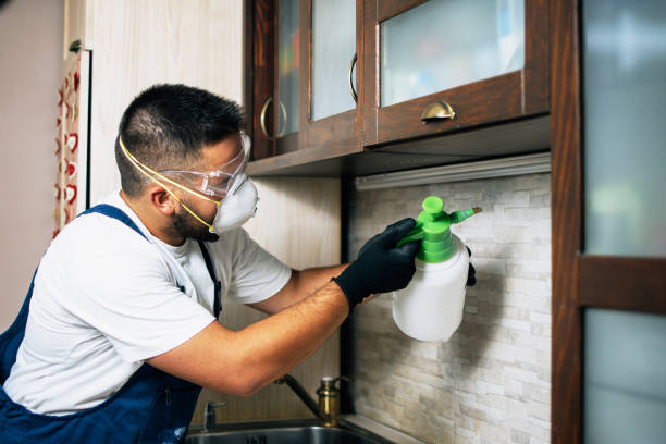  Neah Bay, WA Pest Control Pros