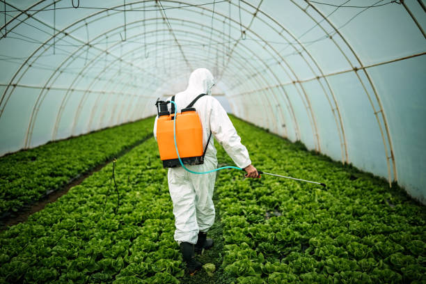 Best Best Pest Control Companies  in Neah Bay, WA