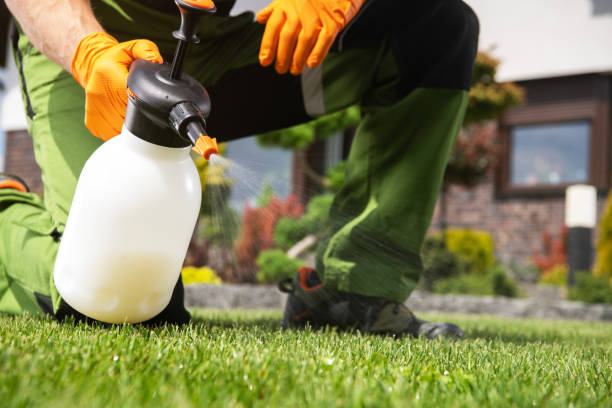 Best Best Pest Control Companies  in Neah Bay, WA
