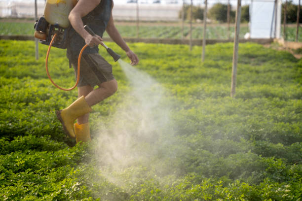 Trusted Neah Bay, WA Pest Control Experts
