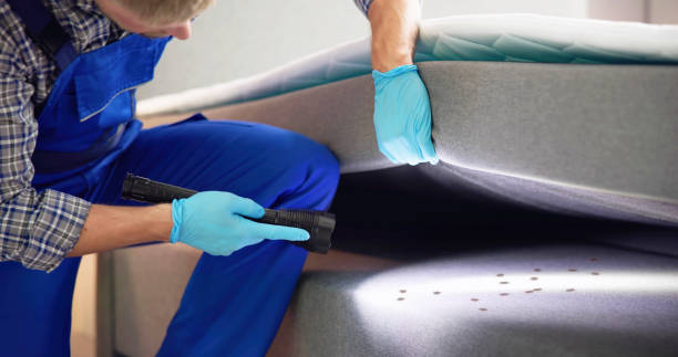 Best Best Pest Control Companies  in Neah Bay, WA