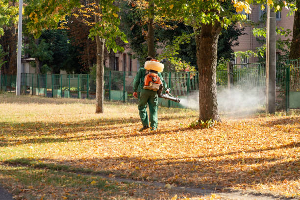 Best Affordable Pest Control Services  in Neah Bay, WA