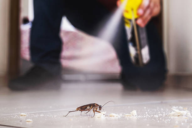 Pest Control Cost in Neah Bay, WA
