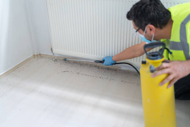 Best Pest Inspection Near Me  in Neah Bay, WA
